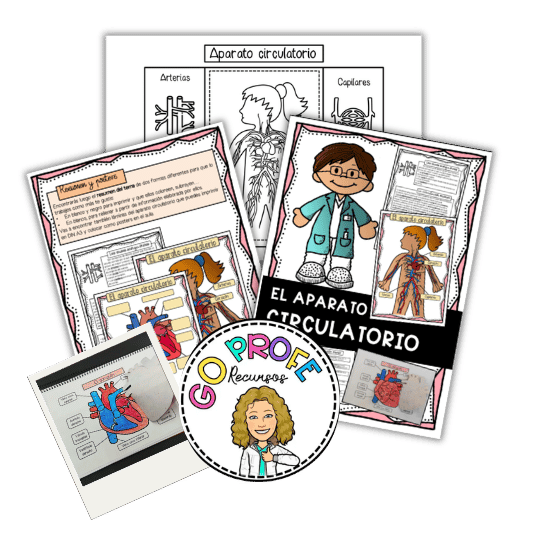 Cuerpo humano: el aparato circulatorio