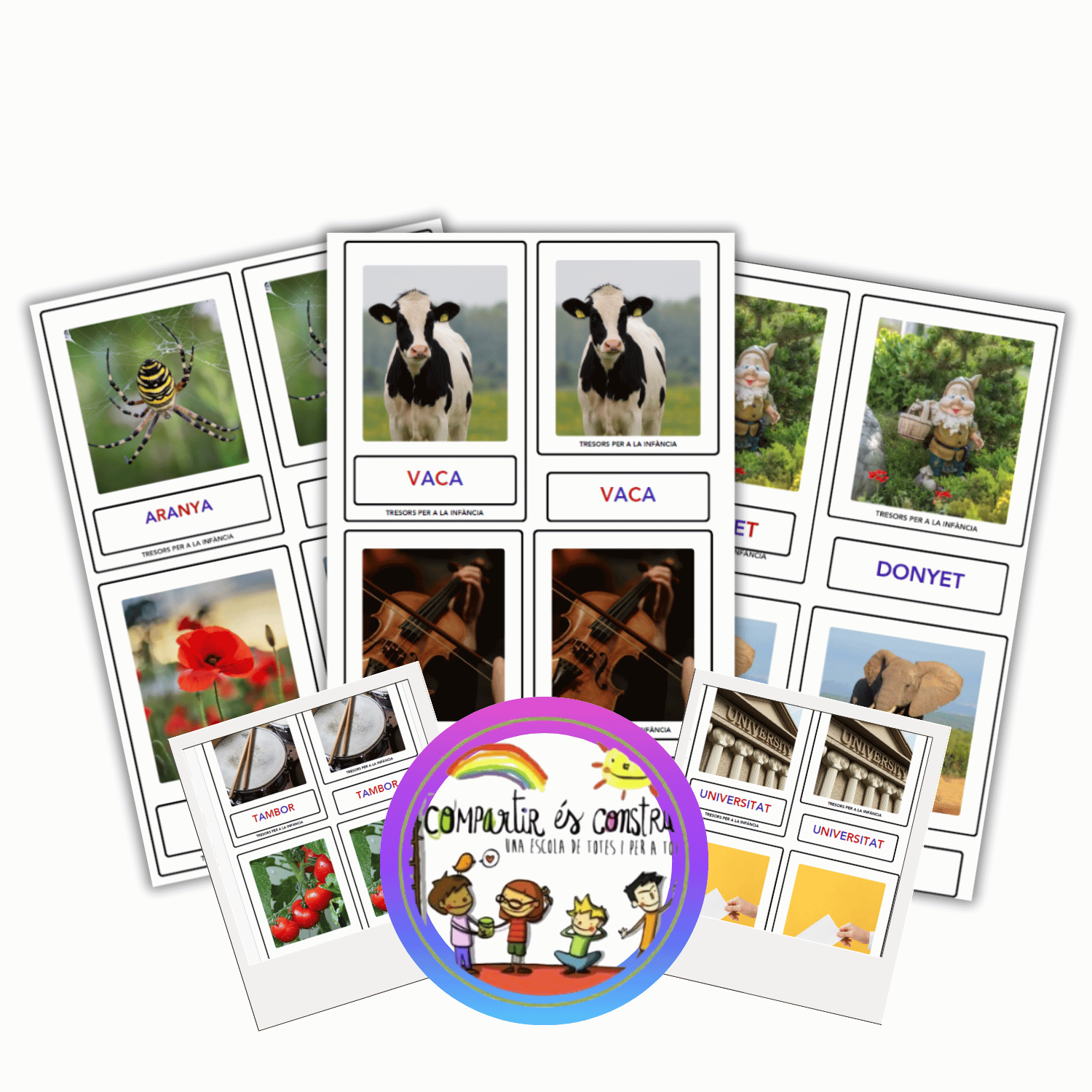 Tarjetas de vocabulario Montessori
