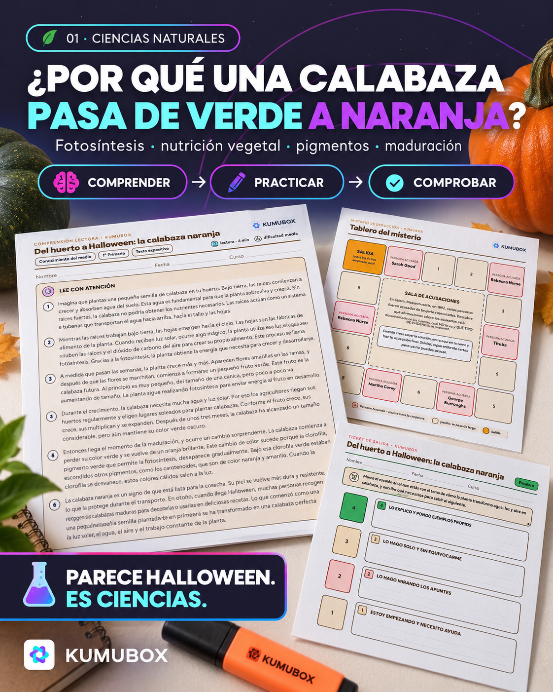 Ejemplo de Ciencias Naturales con recursos de Kumubox sobre fotosíntesis, pigmentos y maduración de una calabaza